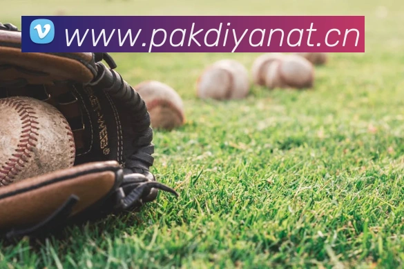 新云顶官方网站APP 封面图